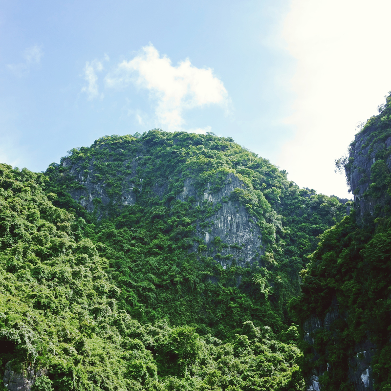 Picjumbo.com hnck122