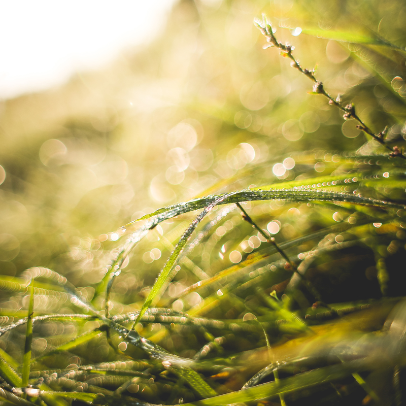 Picjumbo.com hnck1292