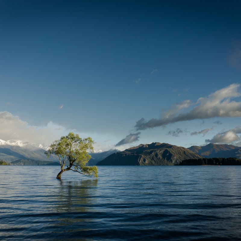 Z7r1rjt6rhmzdqwbm5hg r0001139