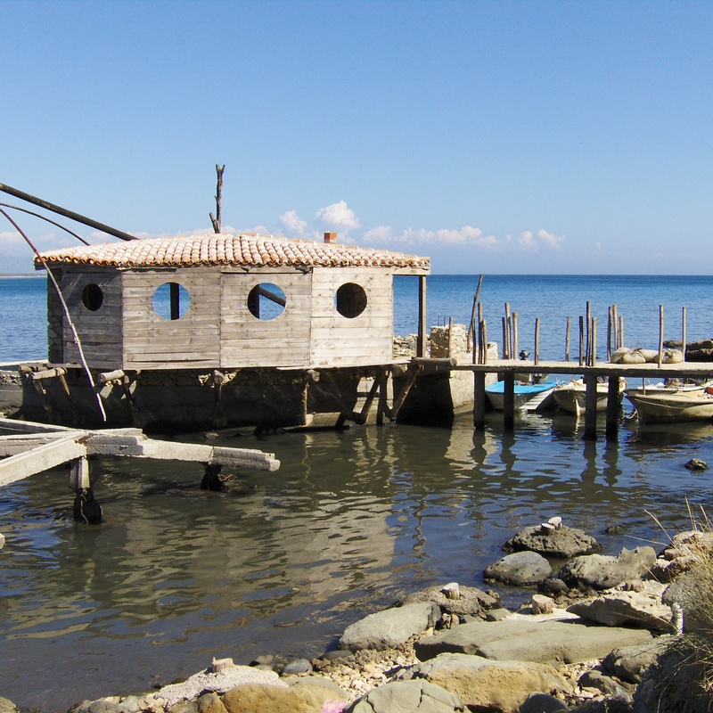 Josha citywithoutriver bujarflorina