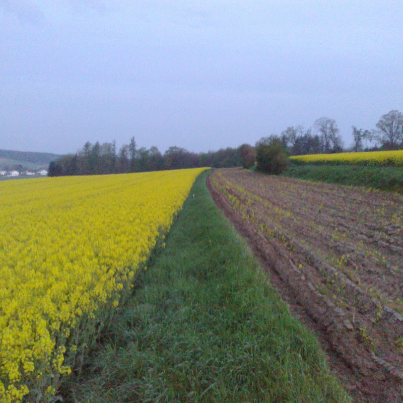 Nokia handy bilder 125