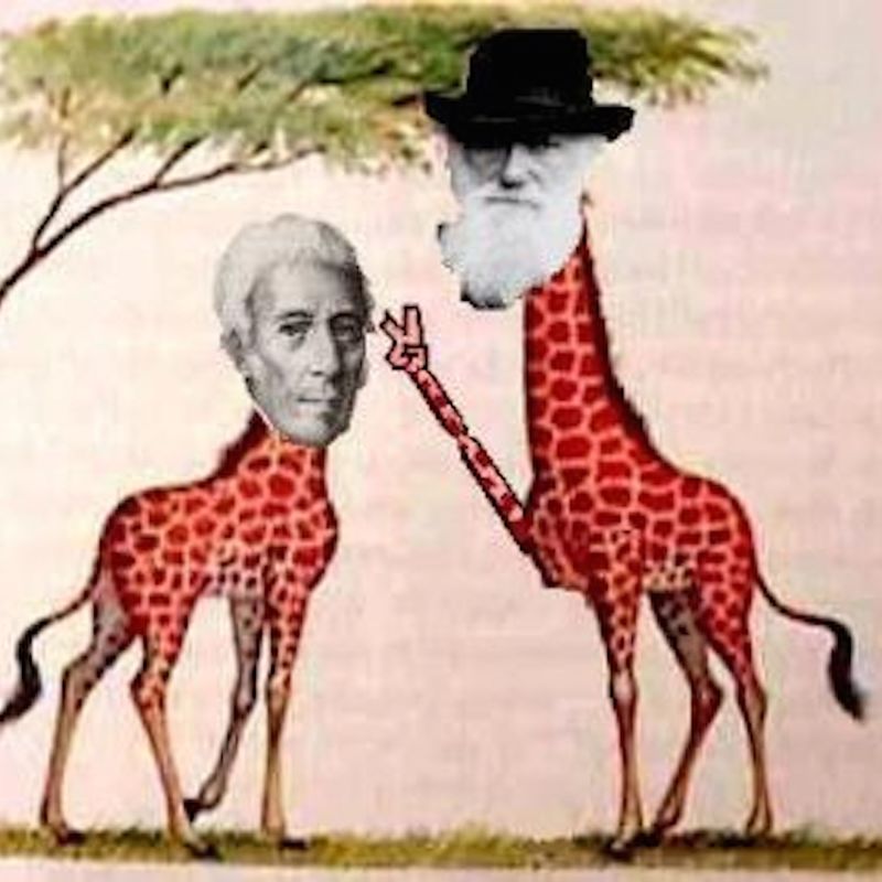 Lamarck u darwin 139354 139746