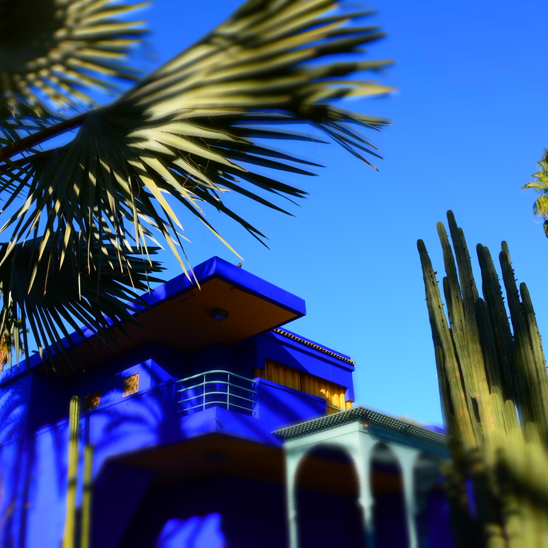 Josha 2018 violetabujar