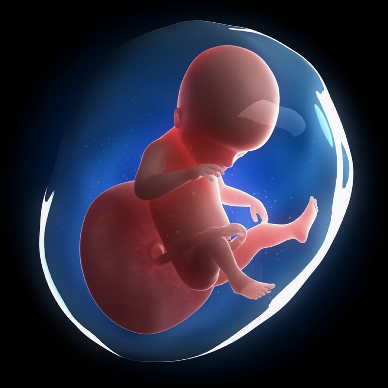 20 semanas de embarazo 597b54373df78cbb7a246f13