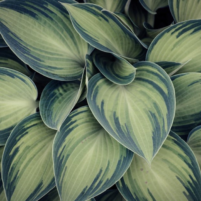 Pexels photo 1073069