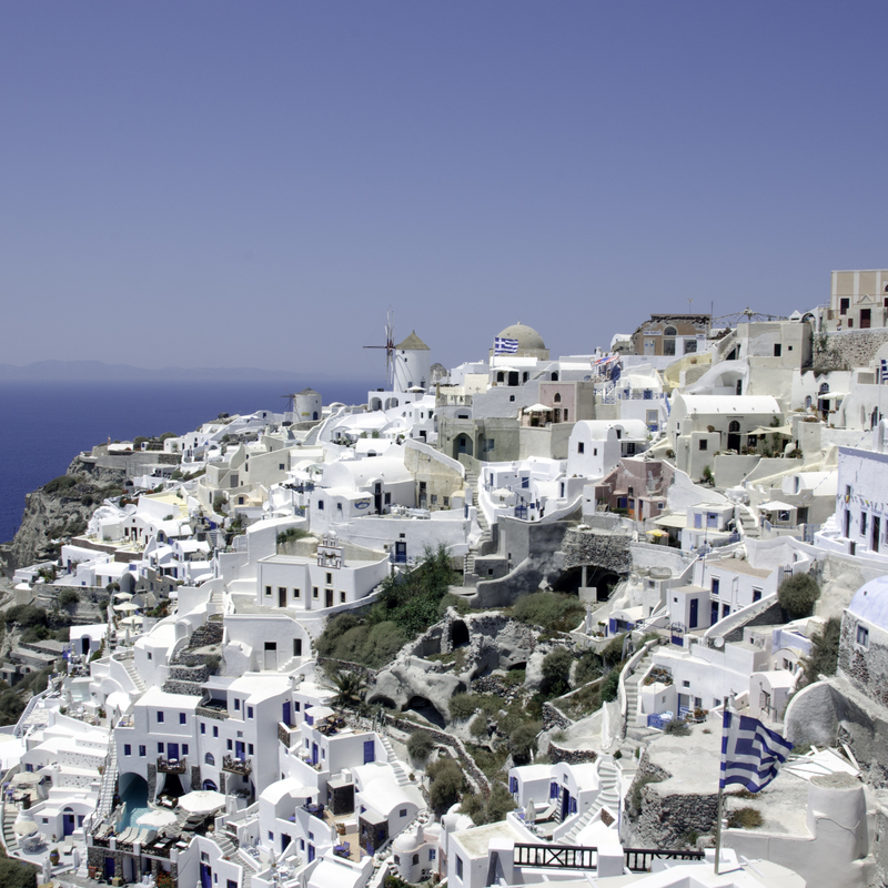 Biomimicry biophilic design