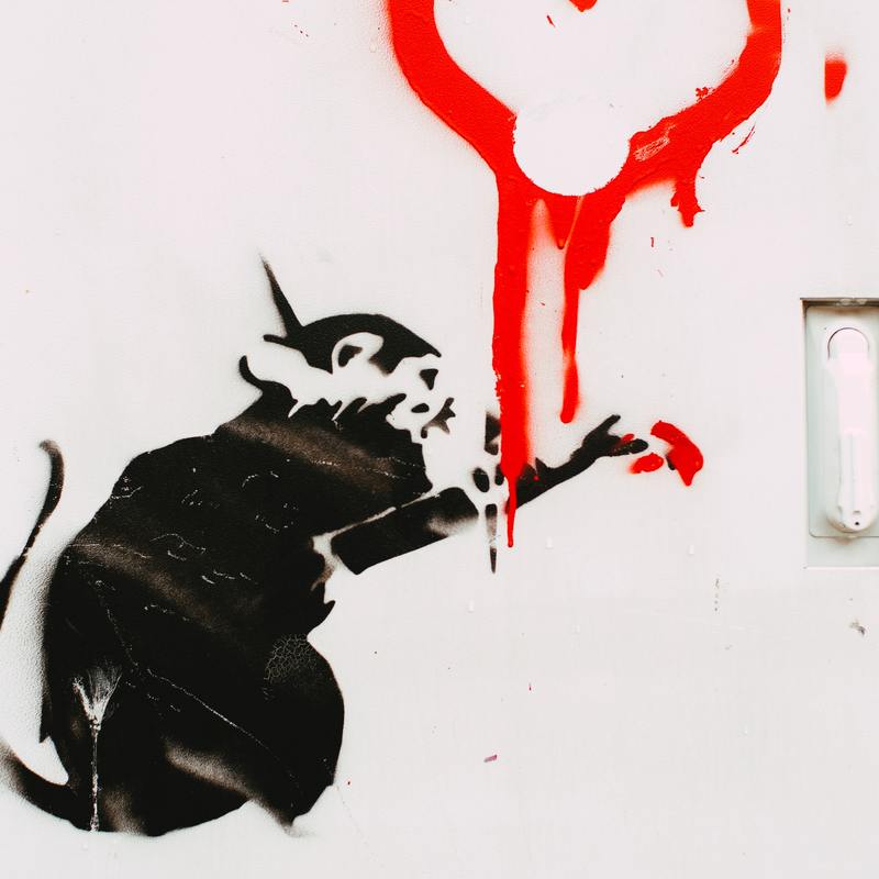 Auf einmal laborratte4