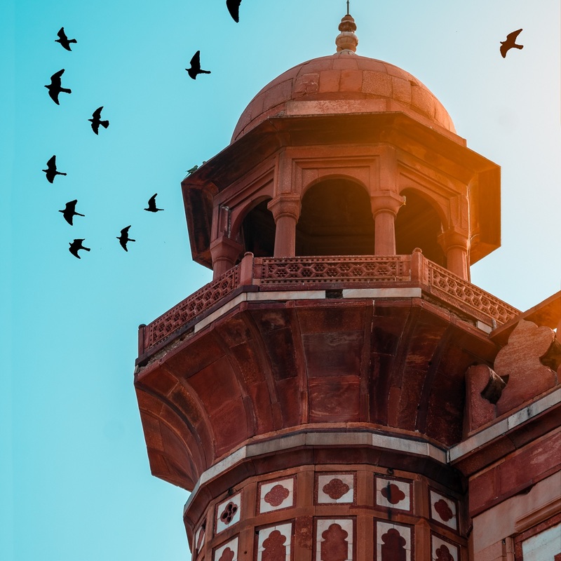 2022 2 understanding the status  roles  and functions