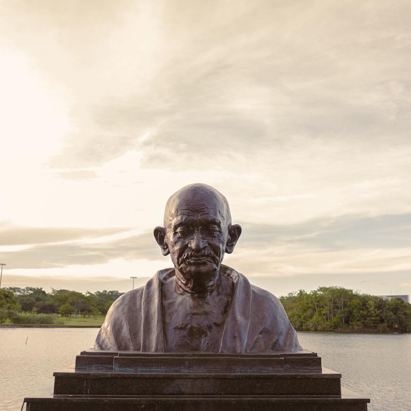 Pexels kaique lopes 9304308