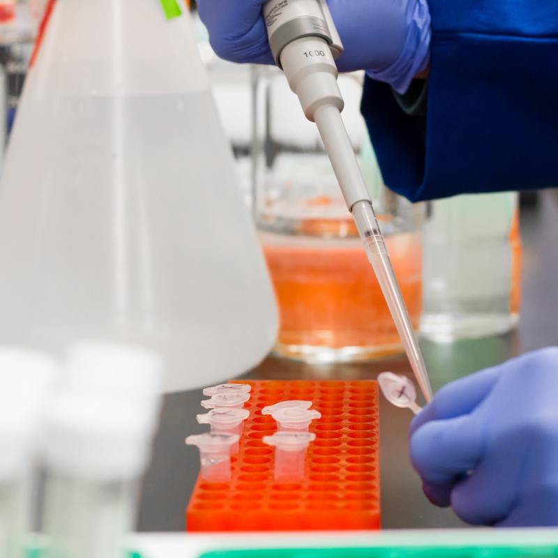 Pexels martin lopez 954583