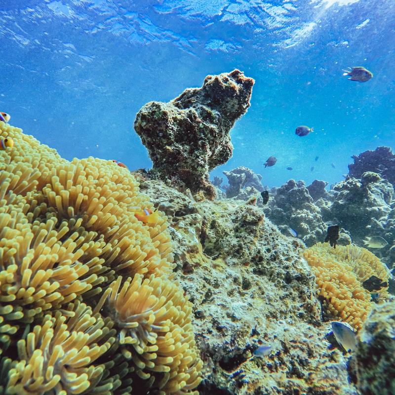 Pexels wewe yang 4850962