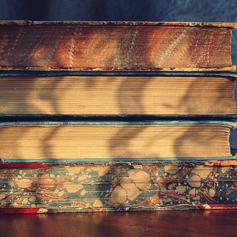 Pexels suzyhazelwood 1290828 copy